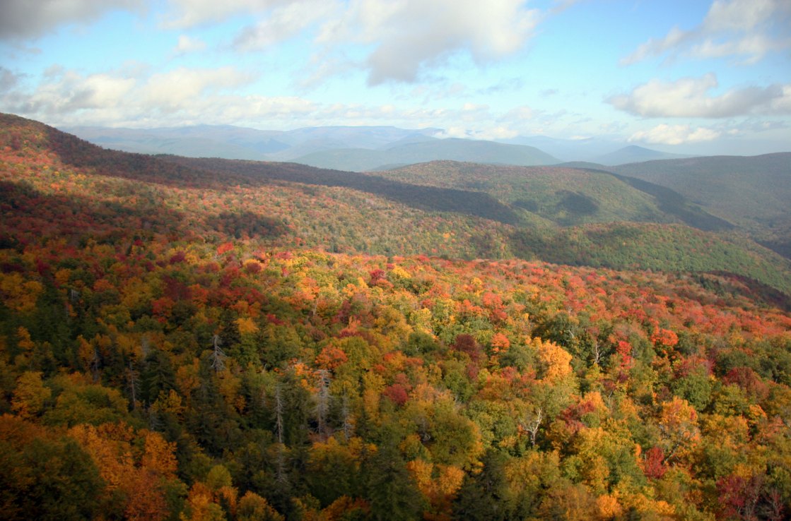 Catskills Mountain